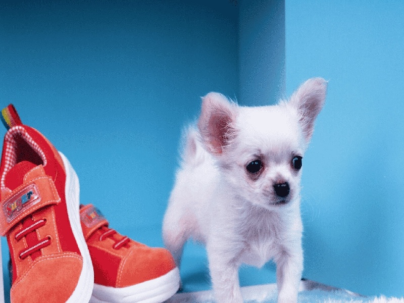 美国试管 不打降调（陇南做试管补贴）